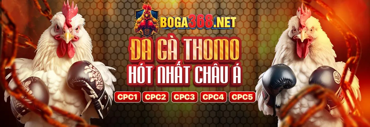 Đá gà trực tuyến 123b nhà cái